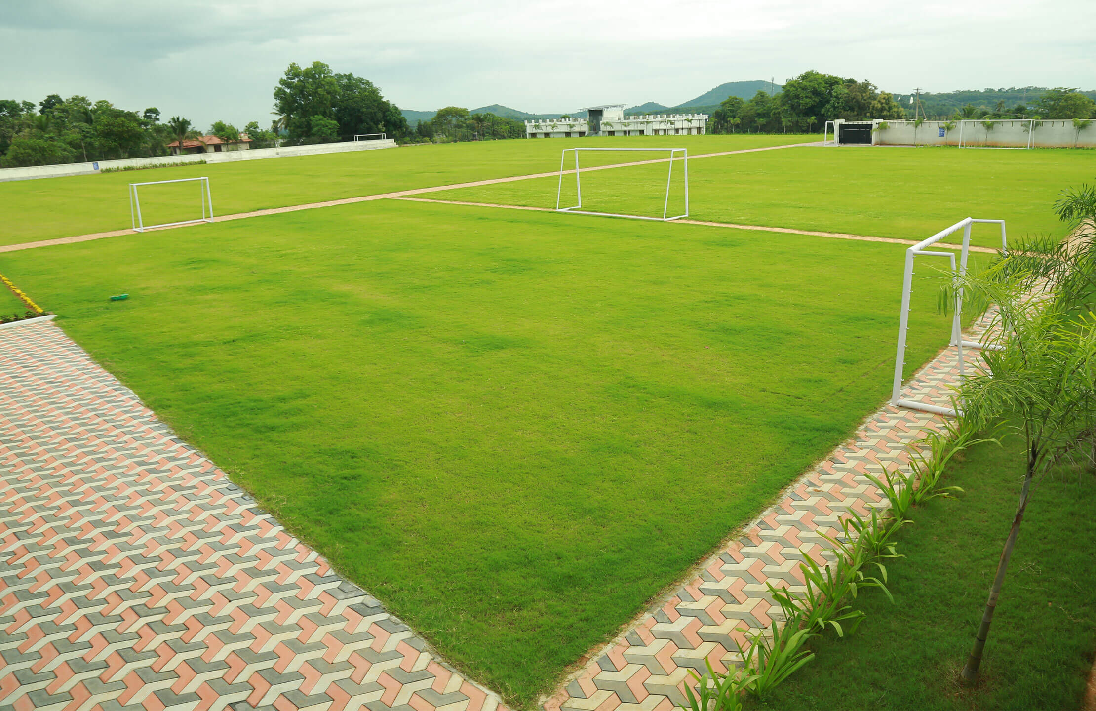 5 Side Grass Court